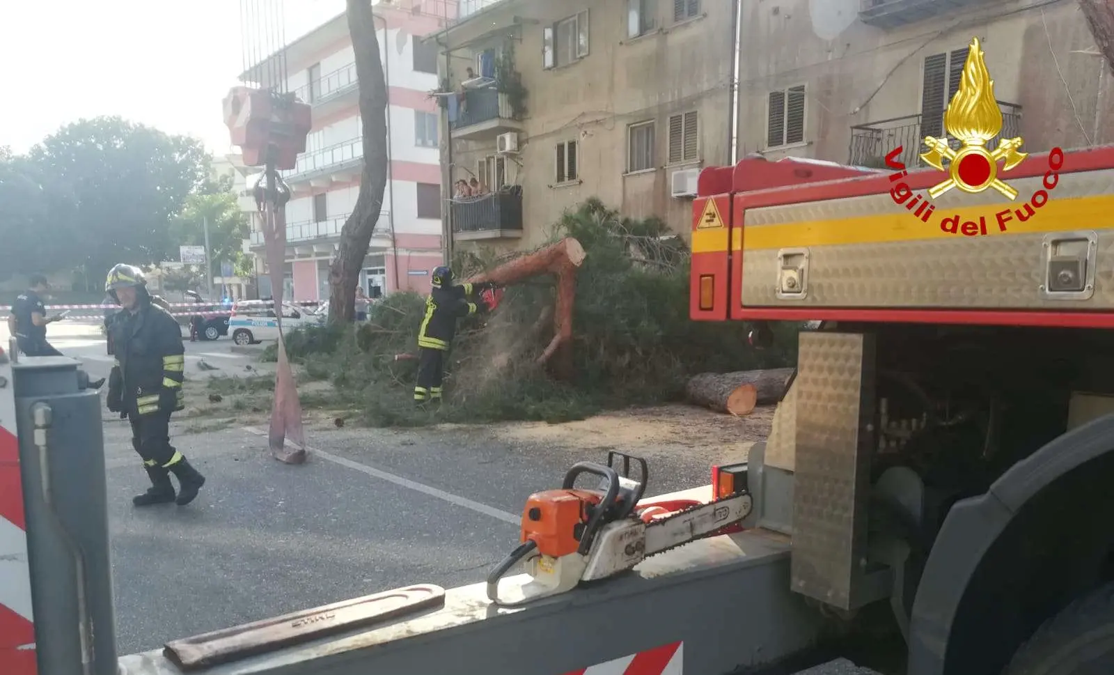 Albero caduto su auto a Vibo, Miceli: «Avevamo già segnalato il pericolo»
