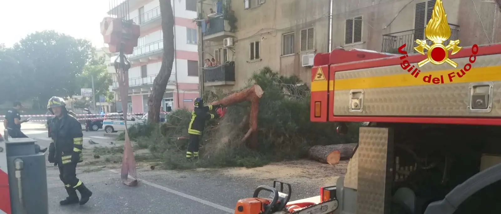 Albero caduto su auto a Vibo, Miceli: «Avevamo già segnalato il pericolo»