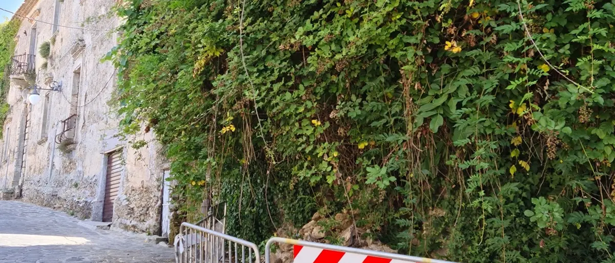 Vibo Valentia, oltraggio alla storia: Palazzo Romei cade a pezzi e nessuno interviene