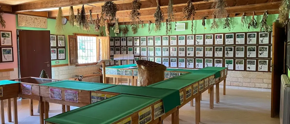 Serra San Bruno, riapre l’area espositiva botanica di Villa Bonitas