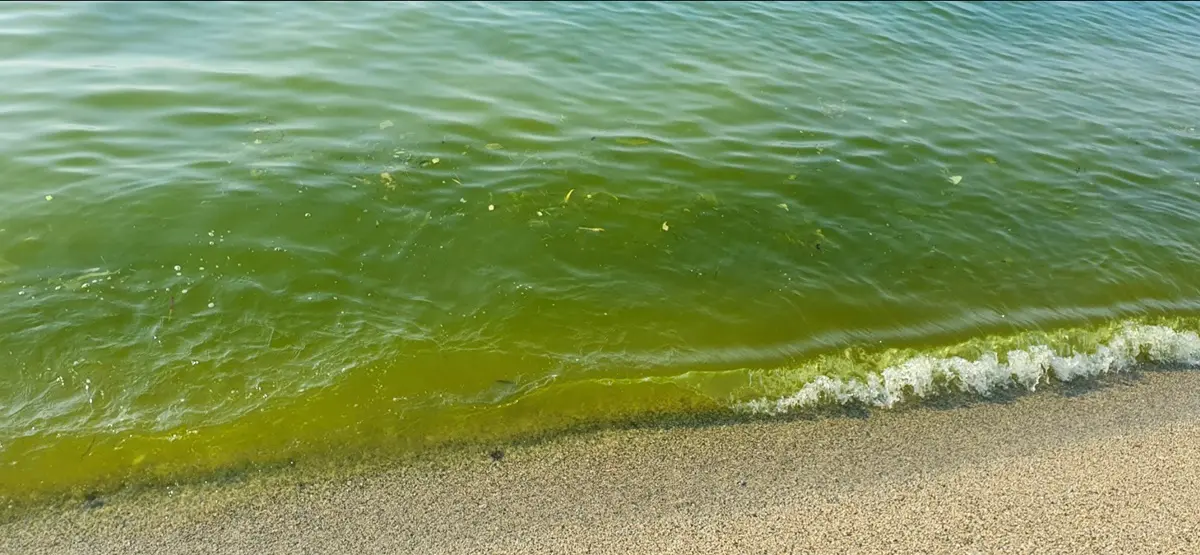 Inquinamento marino, stop agli autospurgo nel Vibonese: ecco l’ordinanza del prefetto