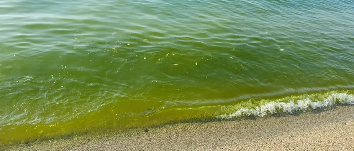 Inquinamento marino, stop agli autospurgo nel Vibonese: ecco l’ordinanza del prefetto