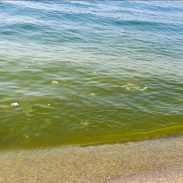 Dal mare sporco all’emergenza idrica: «Vibo versa in uno stato disastroso da decenni»