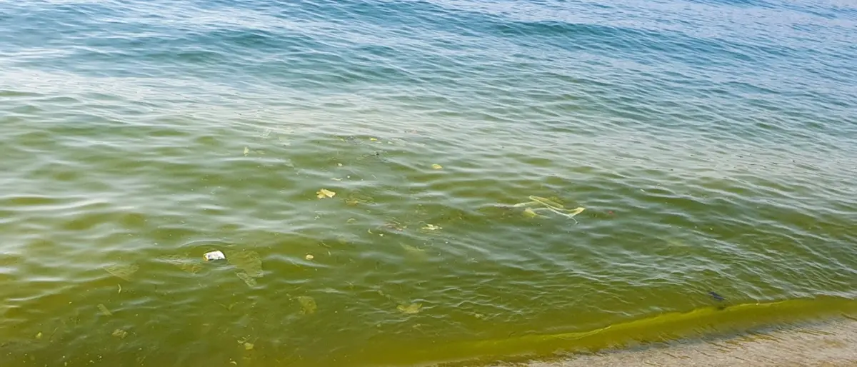 Dal mare sporco all’emergenza idrica: «Vibo versa in uno stato disastroso da decenni»