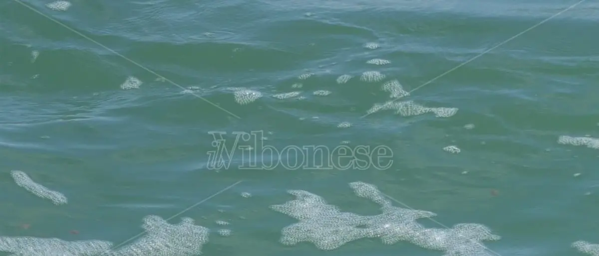 Pizzo, l’Arpacal dichiara non balneabile il tratto di mare di località \"Malfarà\"