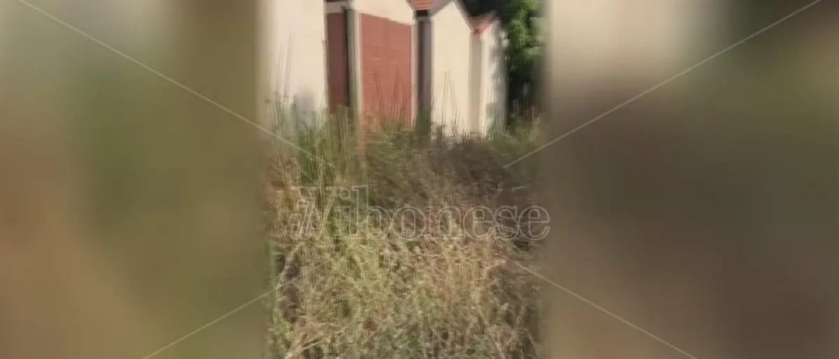Il cimitero di Bivona “seppellito” da rovi e sterpaglie: la denuncia di Patania -Video