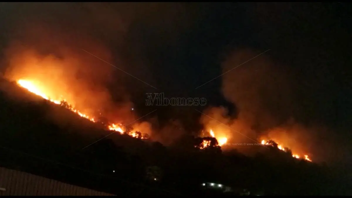 In fiamme la collina fra Pizzo e Maierato, 5 famiglie hanno lasciato le abitazioni