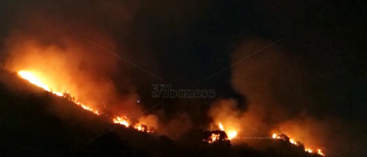 In fiamme la collina fra Pizzo e Maierato, 5 famiglie hanno lasciato le abitazioni