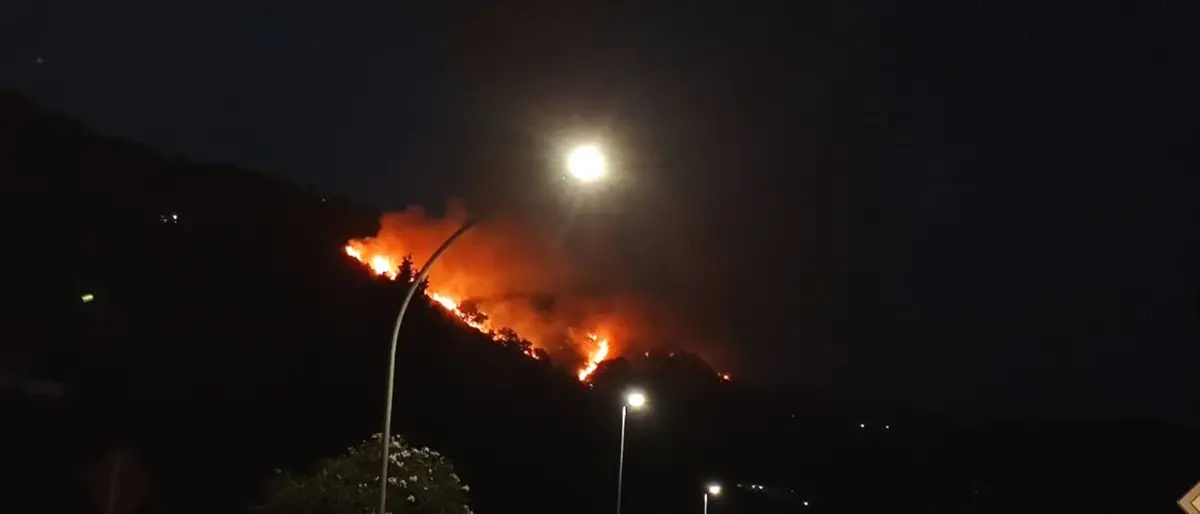 Incendio sulla collina tra Maierato e Pizzo, la condanna del sindaco Limardo