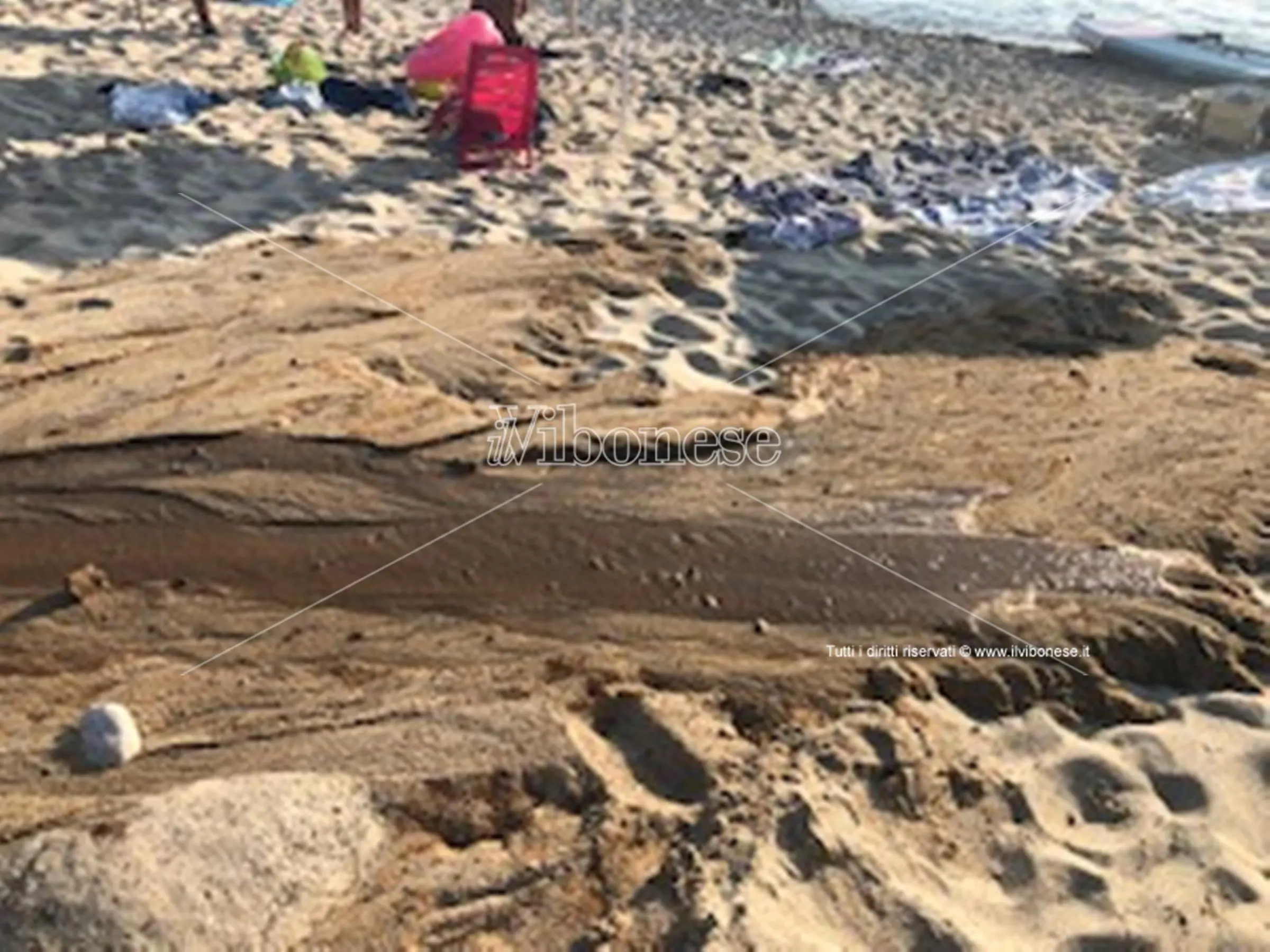 Capo Vaticano, ancora sversamenti al Tono - Video
