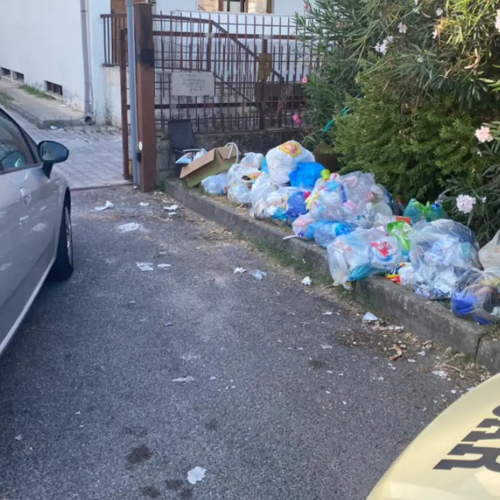 Rifiuti, blitz contro i “furbetti” della differenziata a Vibo Marina e Bivona: fioccano multe