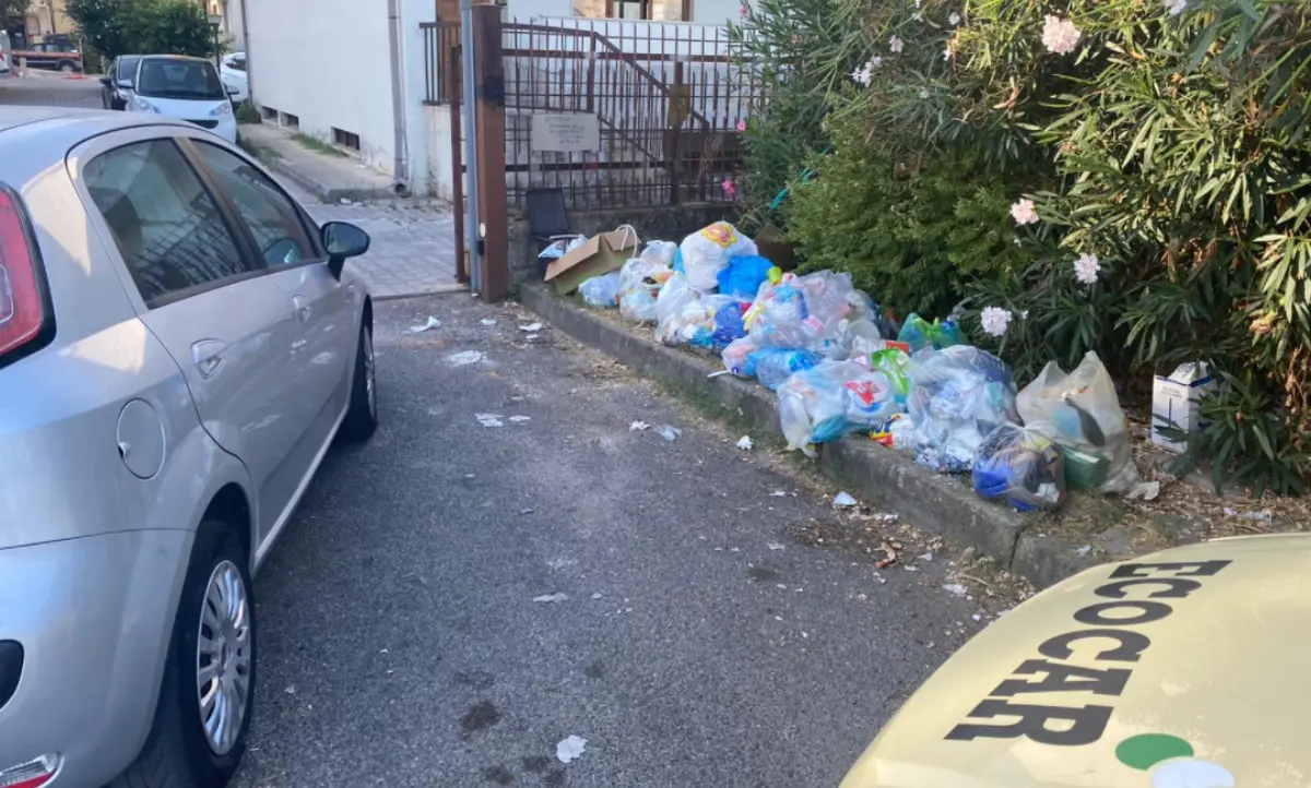 Rifiuti, blitz contro i “furbetti” della differenziata a Vibo Marina e Bivona: fioccano multe