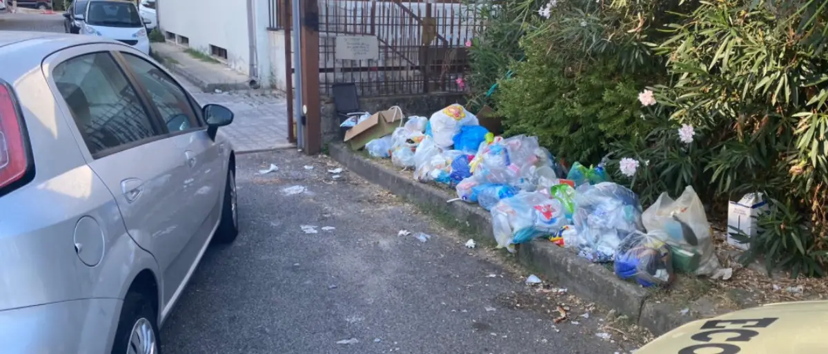 Rifiuti, blitz contro i “furbetti” della differenziata a Vibo Marina e Bivona: fioccano multe