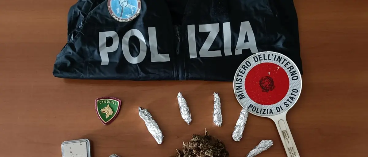 Vibonese, trovata marijuana in una intercapedine: denunciato 34enne