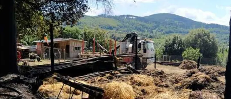 Incendio distrugge azienda agricola a Vallelonga