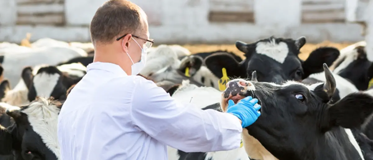 Ufficio veterinario di Spilinga da rafforzare, l’appello del consigliere Pugliese