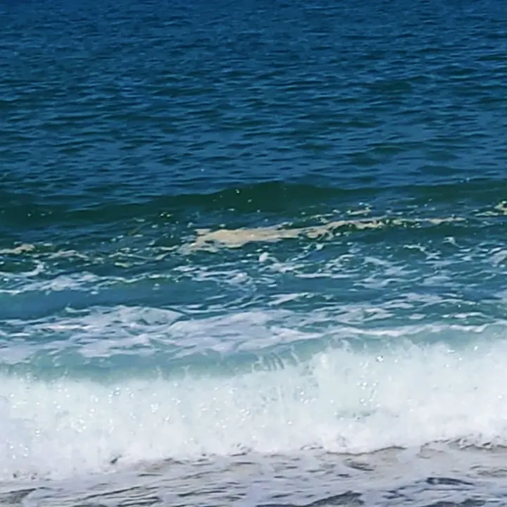 Mare sporco, Psi Vibo: «Siano assegnati a Pizzo i fondi per interventi sui depuratori»