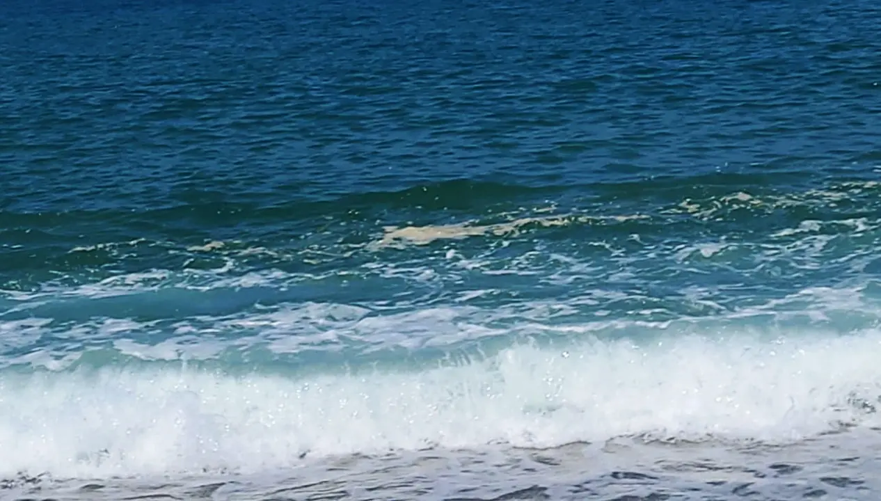 Mare sporco, da Pizzo l’appello ai sindaci: «Denunciate alle Procure»