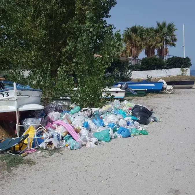 Immondizia e pecore: Briatico alle prese con i soliti problemi pure nella coda dell’estate