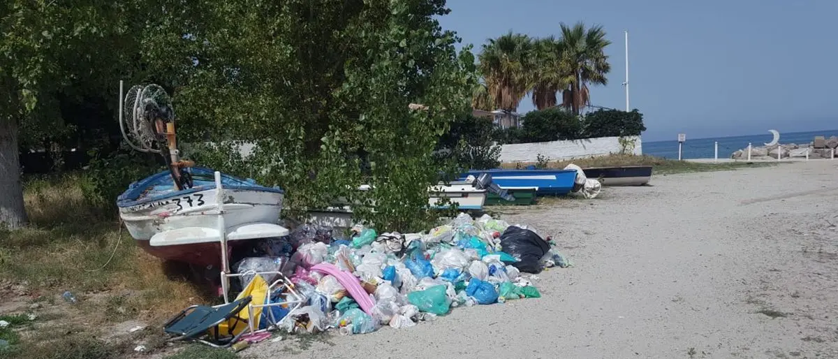 Immondizia e pecore: Briatico alle prese con i soliti problemi pure nella coda dell’estate