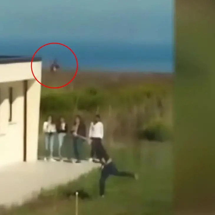 Vibo, maltratta una gallina nel cortile della scuola: dura condanna dell'Enpa – Video