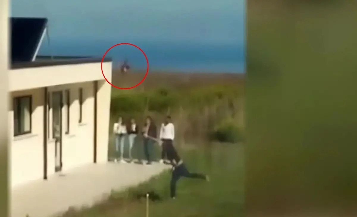 Vibo, maltratta una gallina nel cortile della scuola: dura condanna dell'Enpa – Video