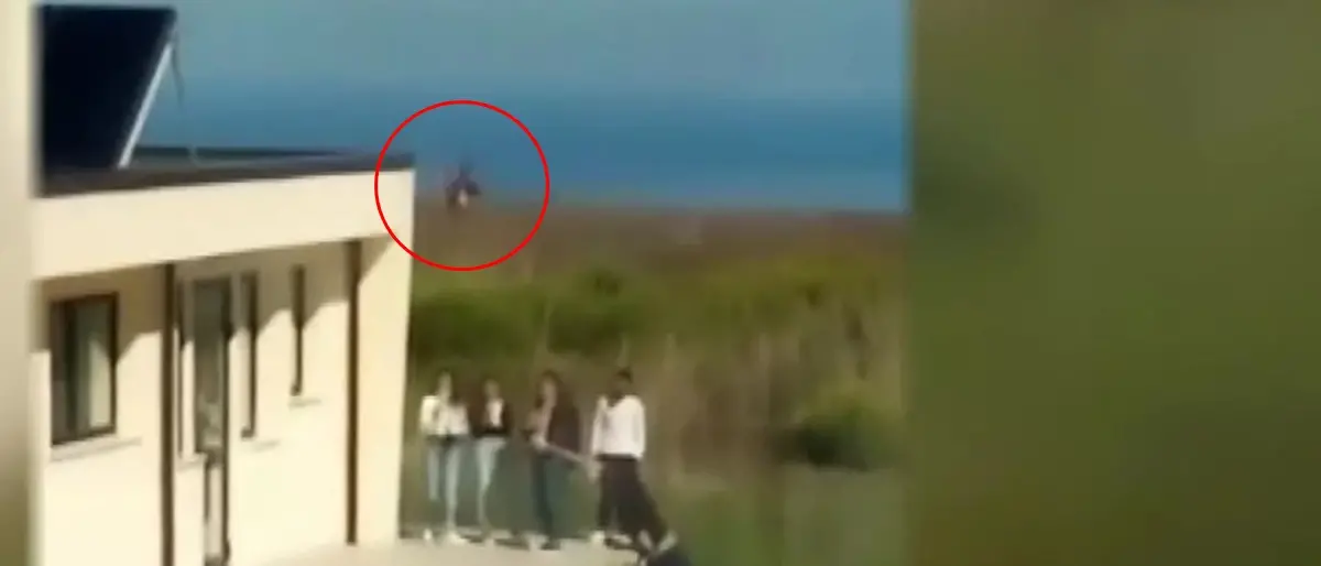 Vibo, maltratta una gallina nel cortile della scuola: dura condanna dell'Enpa – Video