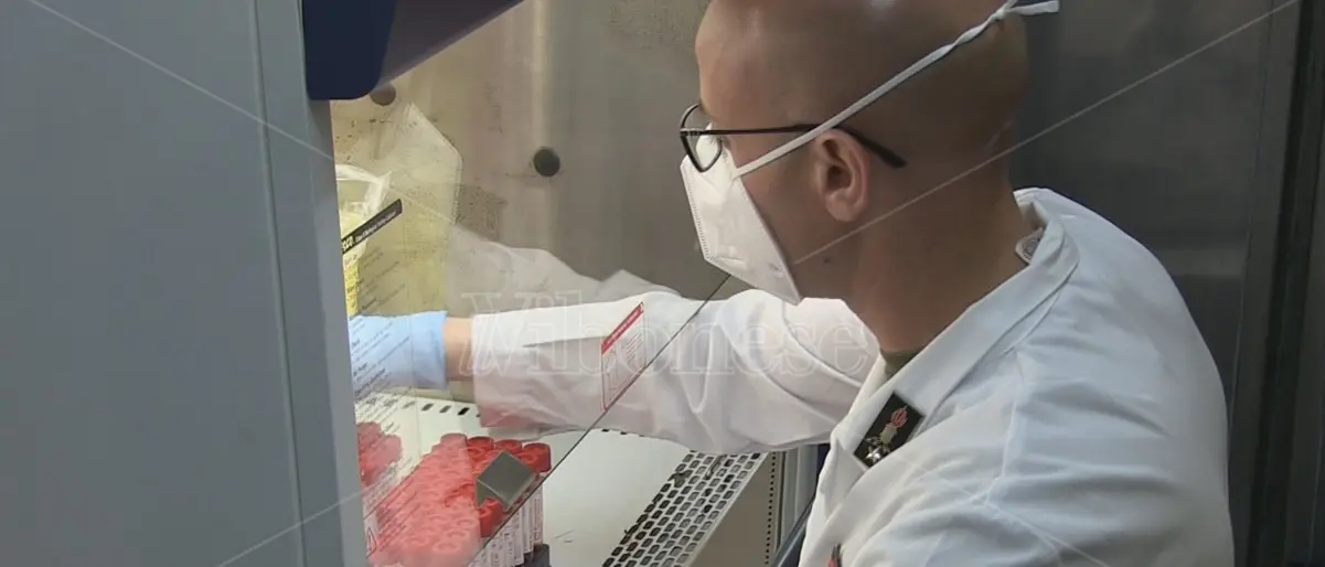 Covid, in Calabria 775 nuovi casi e un decesso: i dati del Vibonese