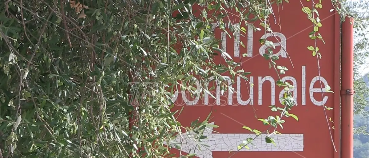 Pizzo, per la villa comunale forse è la volta buona: «Entro Natale riaprirà» -Video