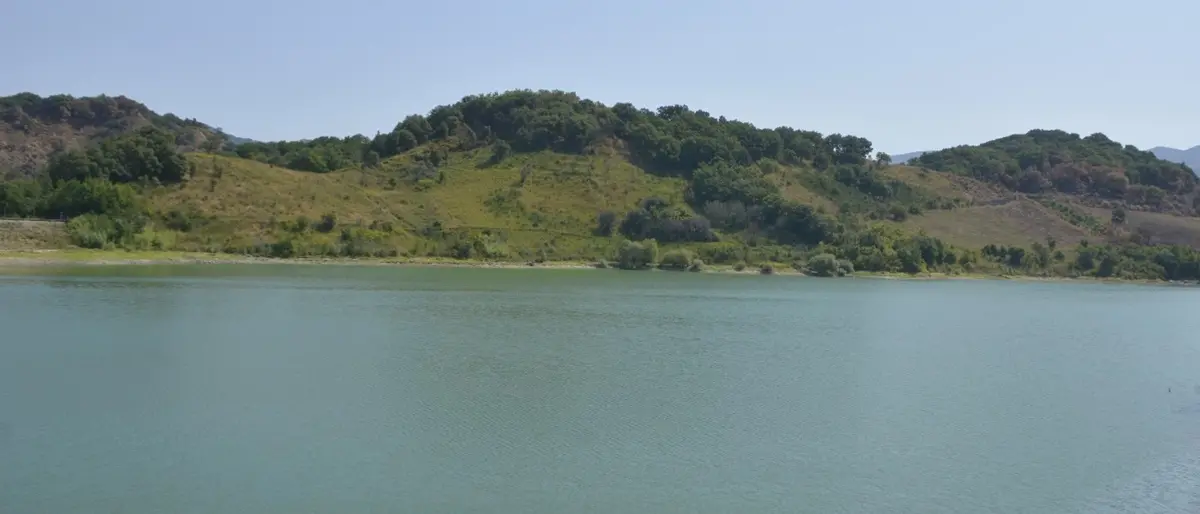 Ripulito il lago dell’Angitola nel Vibonese, in campo FareAmbiente