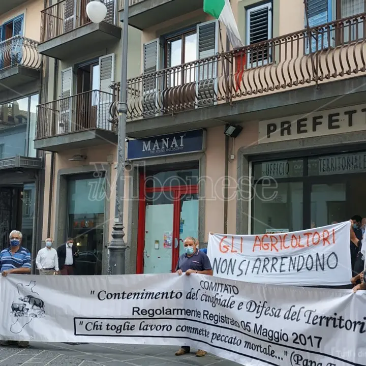 «Ridotti in miseria»: i contadini di Maierato tornano a protestare davanti alla Prefettura -Video