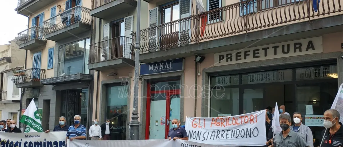 «Ridotti in miseria»: i contadini di Maierato tornano a protestare davanti alla Prefettura -Video