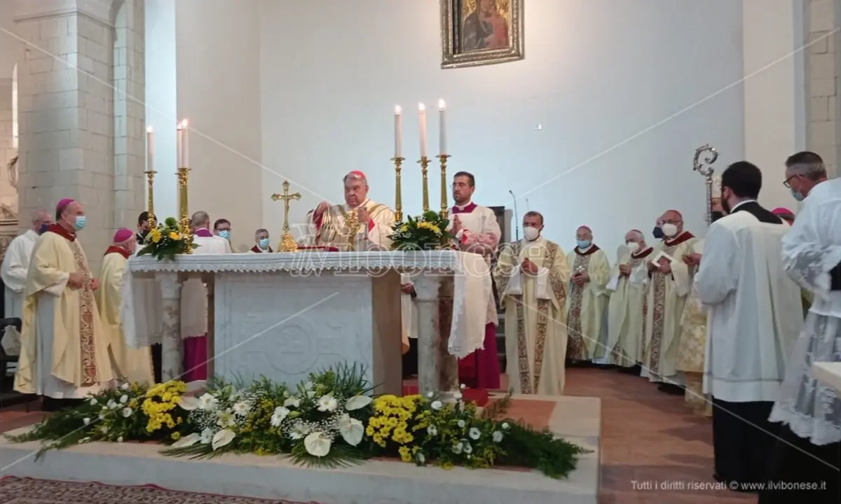 Don Francesco Mottola proclamato beato, la chiesa calabrese in festa - Video