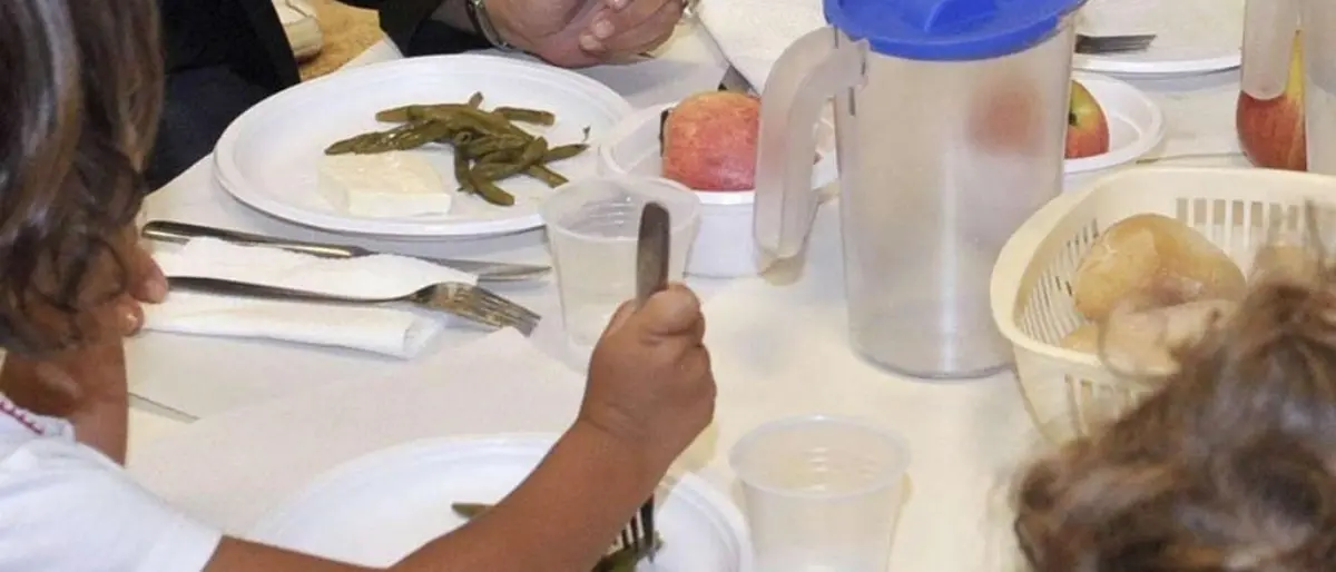 Vibo, parte la mensa scolastica ma non per 2 plessi, il Comune assicura: «Da oggi nessun disservizio»