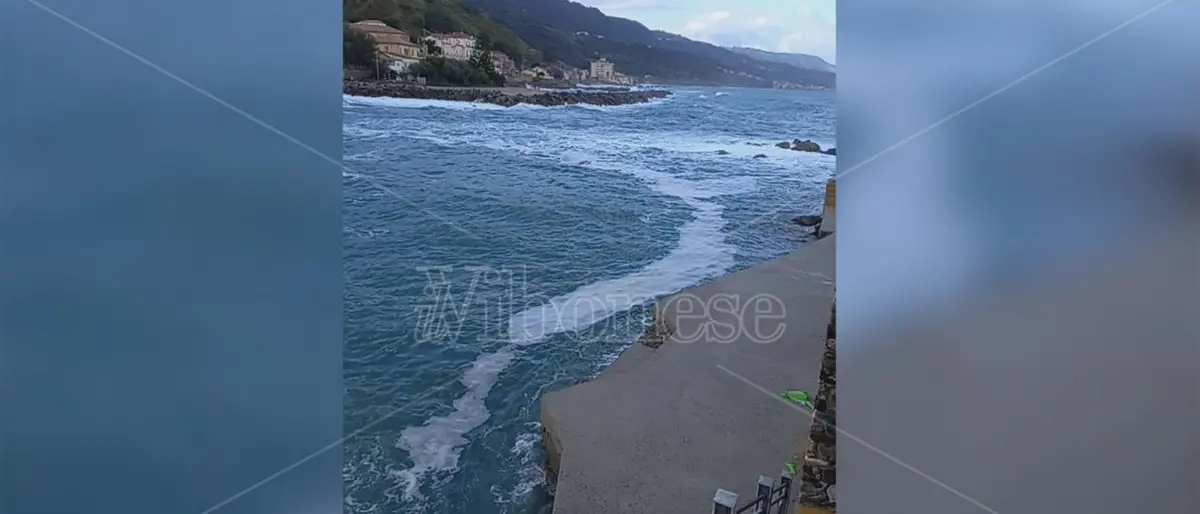 Il mare d'inverno… inquinato come d’estate, Paolillo (Wwf): «E' il momento di intervenire»