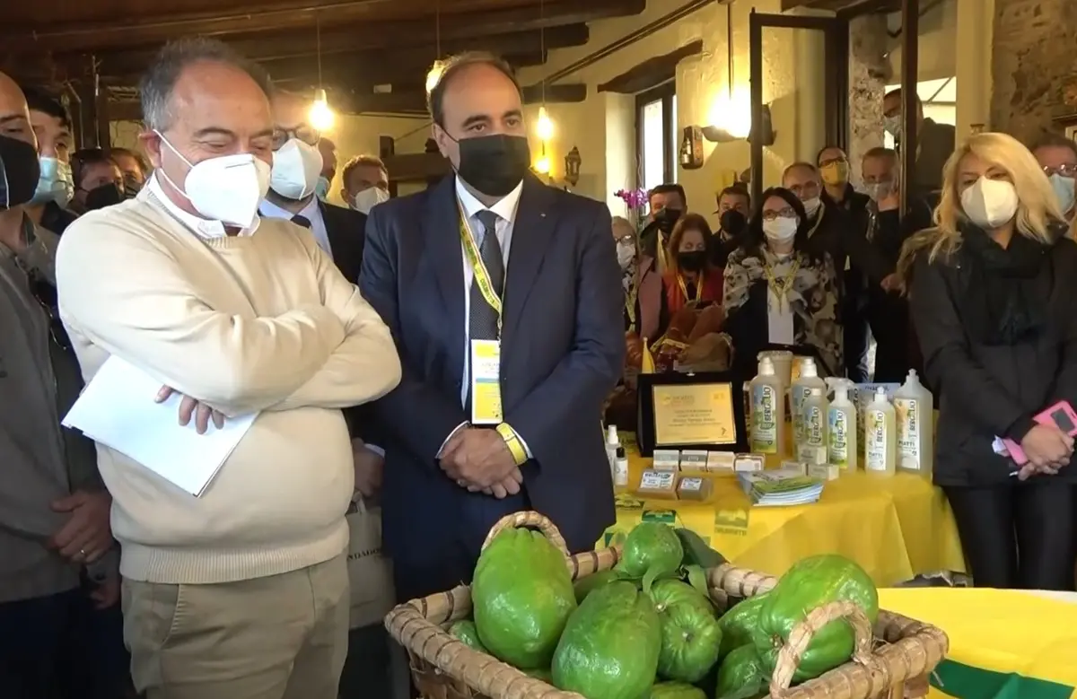 Premio Oscar Green Calabria, c’è Gratteri a premiare i giovani imprenditori - Video