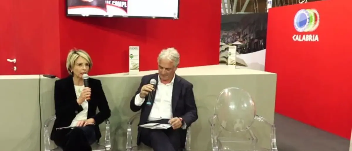 Vibo capitale del Libro si presenta al Salone di Torino - Video
