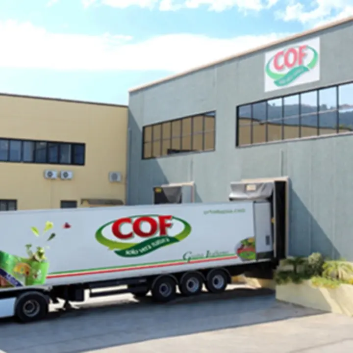 Portosalvo, fallita la Cof Spa: naufragato il piano di salvataggio