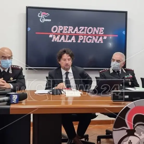 Mala Pigna, i beni confiscati ai clan di Gioia Tauro gestiti sempre dai Piromalli: ecco come