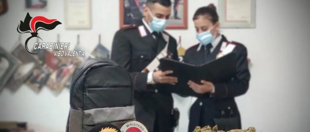Marijuana pronta per essere spacciata: un arresto a Parghelia