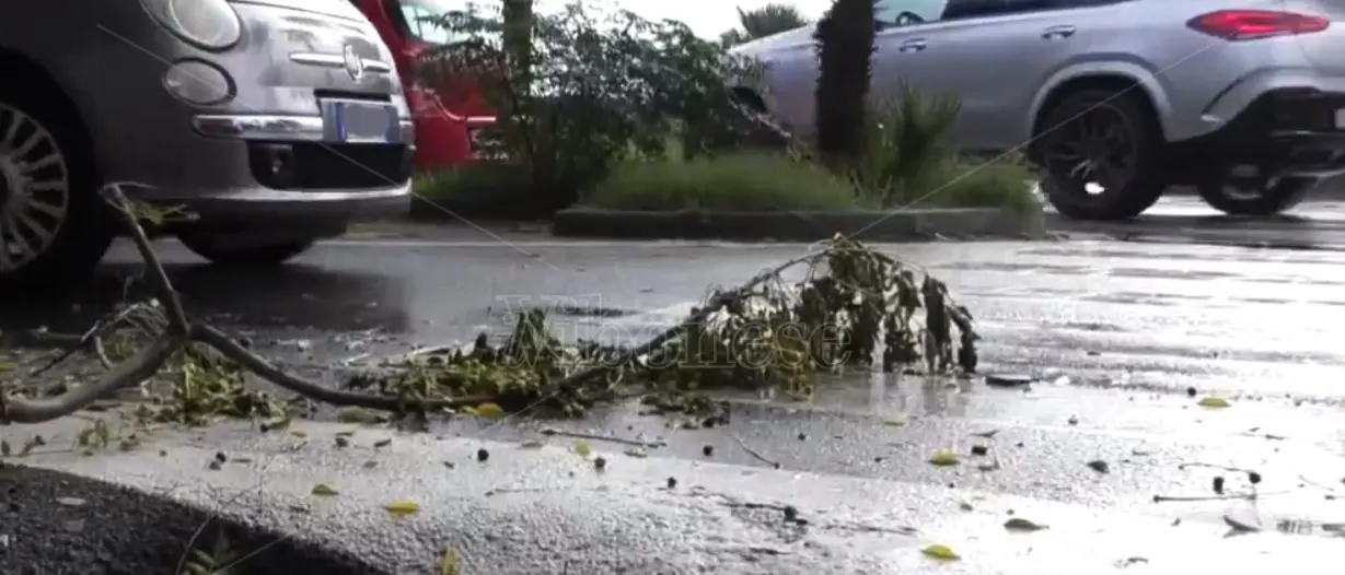 Maltempo in Calabria, pioggia record nelle Serre vibonesi: i dati Arpacal