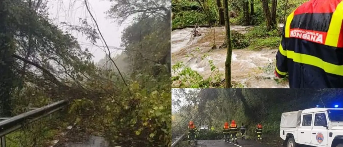 Maltempo, danni nel Vibonese: frane e alberi caduti lungo le strade dei comuni montani
