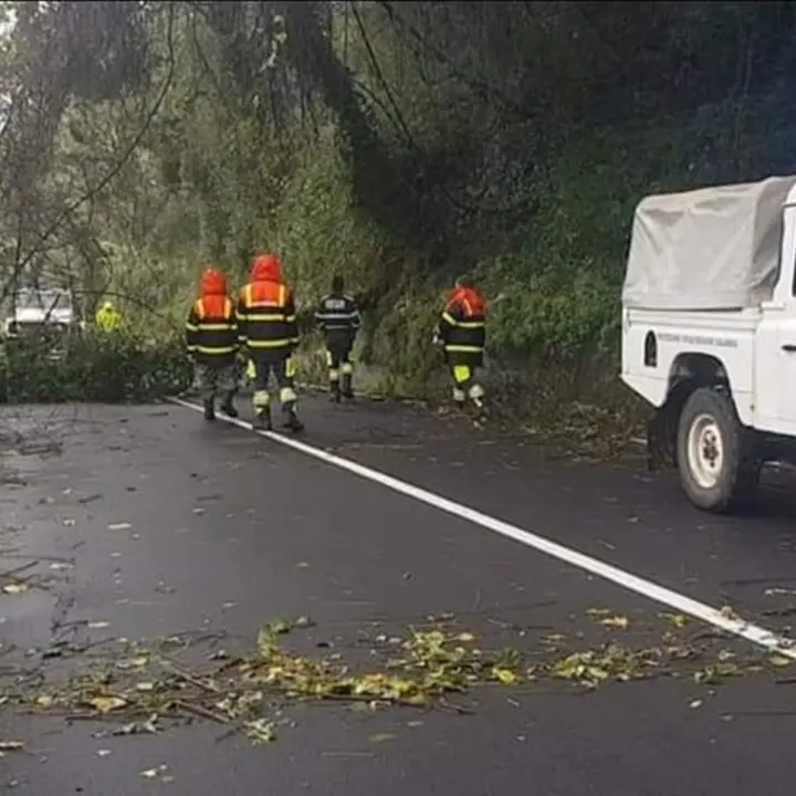 Maltempo nel Vibonese, verso una nuova allerta. Il prefetto ai sindaci: «Massima attenzione»