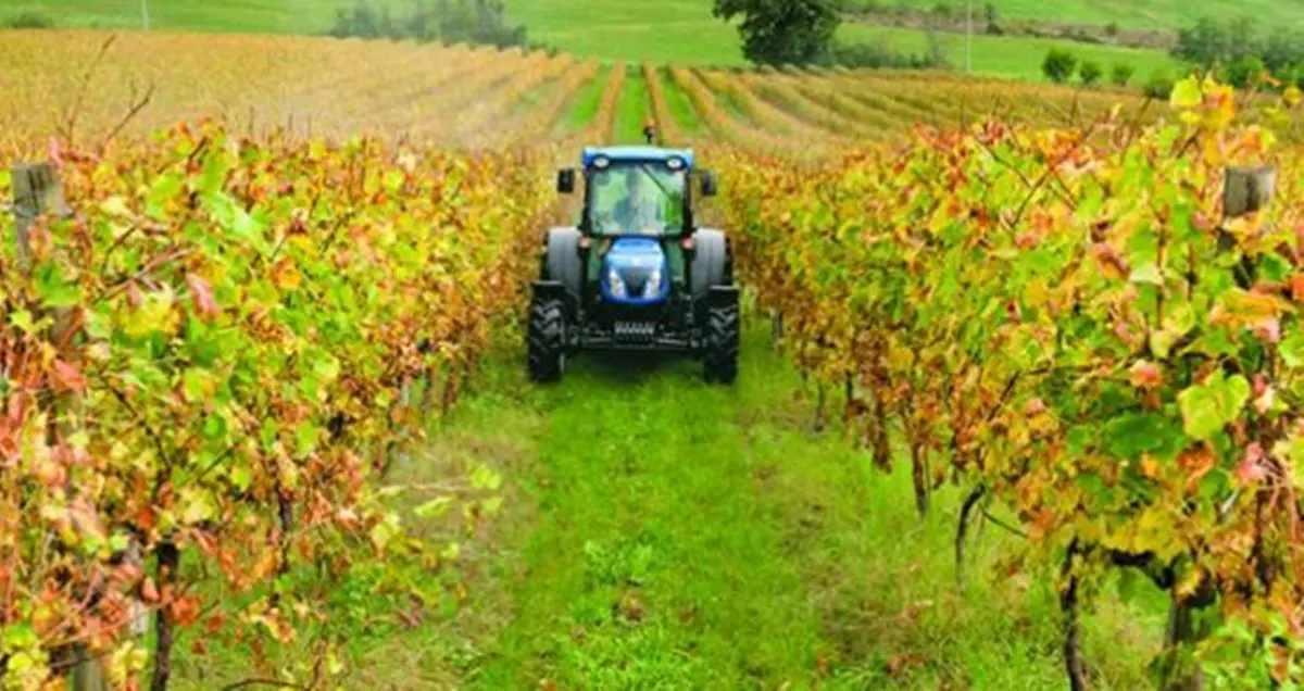 Agricoltori biodinamici, a Maierato focus sulle tecniche sostenibili
