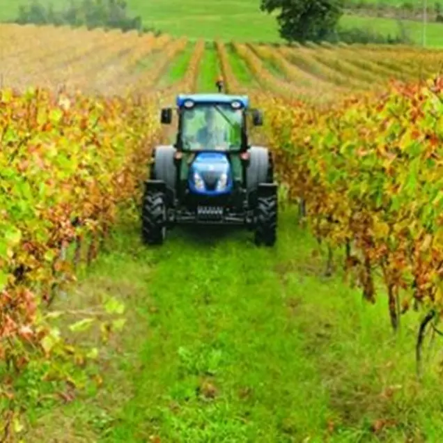 Gal Terre Vibonesi, ultimi giorni per partecipare al bando destinato agli agricoltori