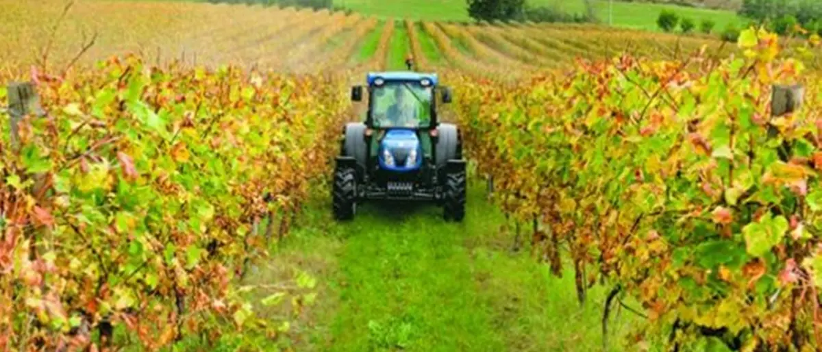 Sviluppo: il Gal “Terre Vibonesi” pronto a finanziare 25 progetti