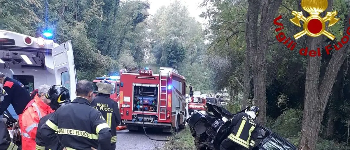 Perde il controllo dell'auto e finisce fuori strada: un ferito nel Vibonese