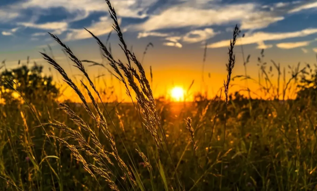 A Mileto attesa per la Giornata regionale del ringraziamento
