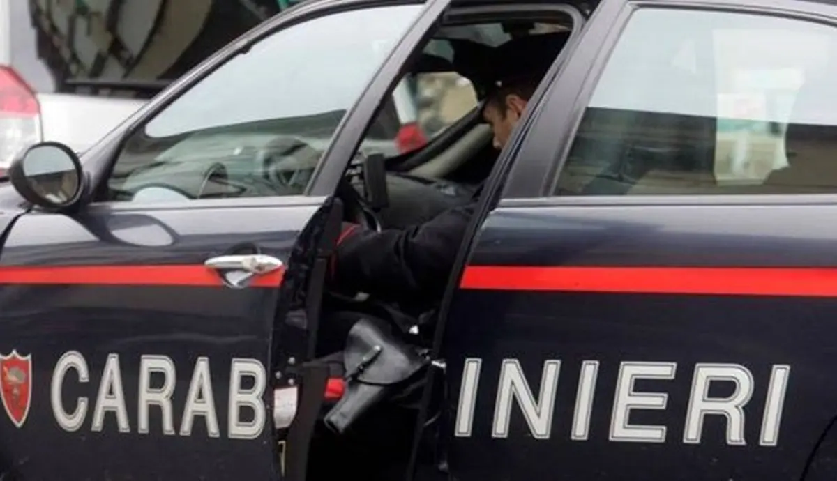 Operazione New generation- Riscatto II, blitz pure a Reggio e Catanzaro: 29 misure - Nomi e Video