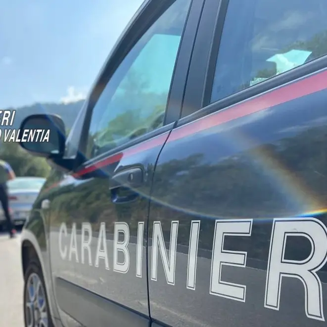 Scarichi di un frantoio smaltiti illecitamente, sequestri a Cessaniti